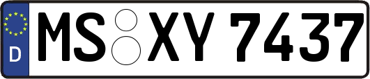 MS-XY7437