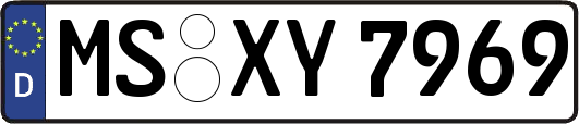MS-XY7969