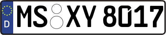 MS-XY8017