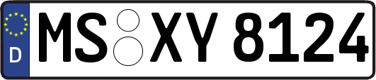 MS-XY8124