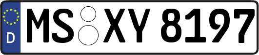 MS-XY8197
