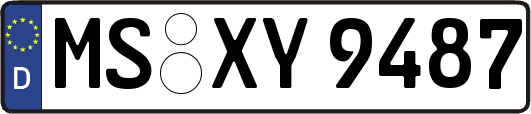 MS-XY9487