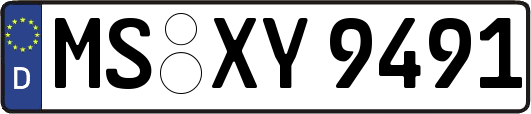 MS-XY9491
