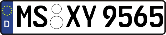 MS-XY9565