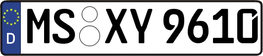 MS-XY9610