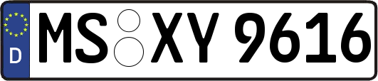 MS-XY9616