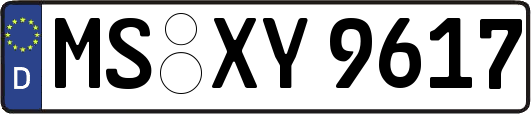 MS-XY9617