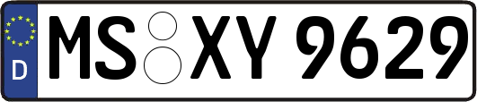 MS-XY9629