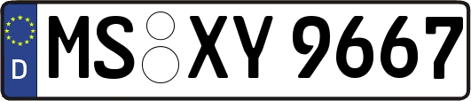 MS-XY9667