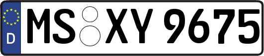 MS-XY9675