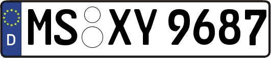 MS-XY9687