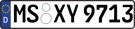 MS-XY9713