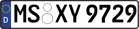 MS-XY9729