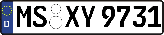 MS-XY9731