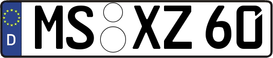 MS-XZ60
