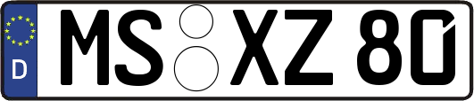 MS-XZ80