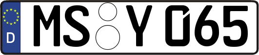 MS-Y065