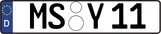 MS-Y11