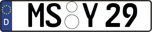 MS-Y29