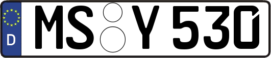 MS-Y530