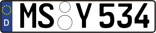 MS-Y534