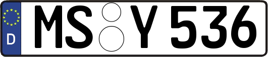 MS-Y536