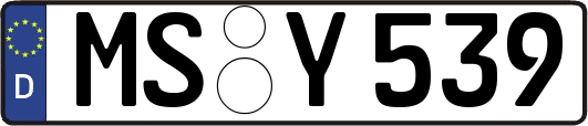 MS-Y539