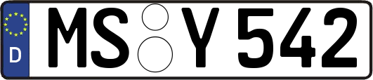 MS-Y542