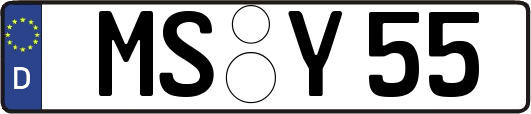 MS-Y55