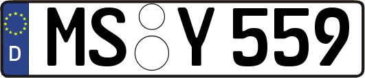MS-Y559