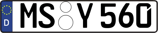 MS-Y560