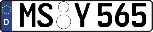 MS-Y565
