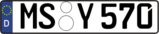 MS-Y570
