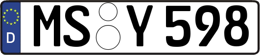 MS-Y598