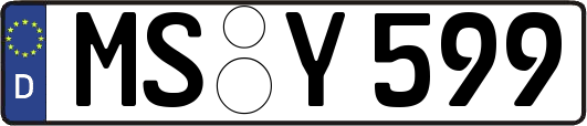 MS-Y599