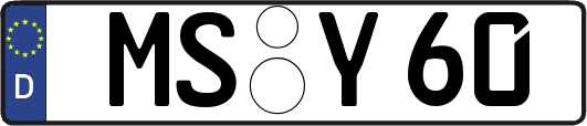 MS-Y60