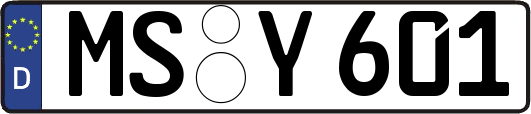 MS-Y601