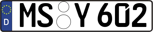 MS-Y602