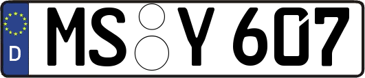 MS-Y607