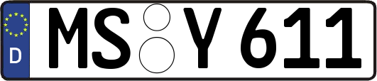MS-Y611