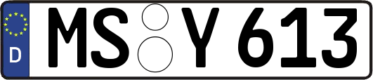 MS-Y613
