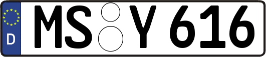 MS-Y616