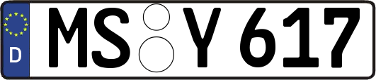 MS-Y617
