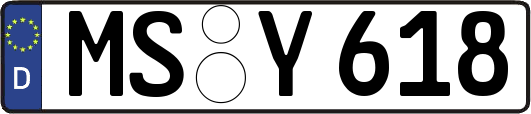 MS-Y618