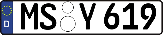 MS-Y619