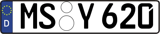 MS-Y620