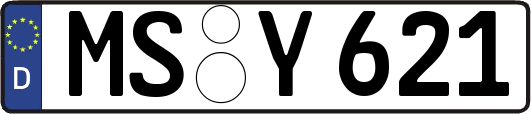 MS-Y621