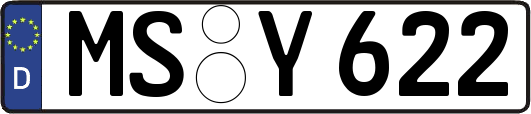 MS-Y622