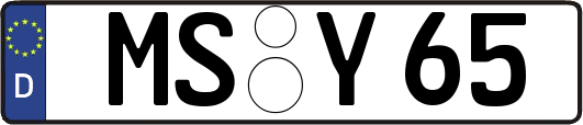 MS-Y65