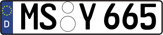 MS-Y665